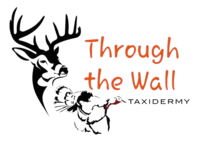 knowledgeable-amethyst-rooster.208-109-228-118.cpanel.site